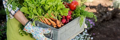 Enjoy a break from city life at farm stays