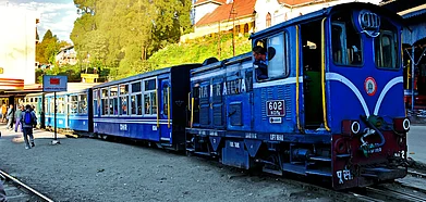 A toy train in Darjeeling