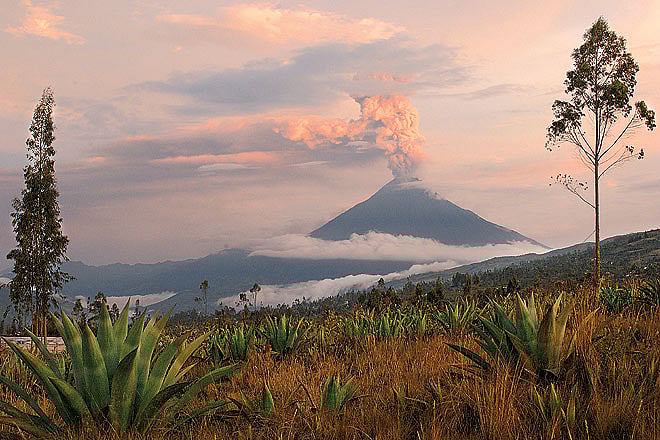 An adventure in Ecuador