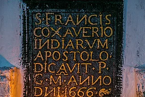 Relics of St Francis Xavier go on display in Goa