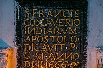 Relics of St Francis Xavier go on display in Goa