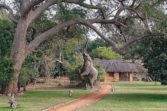South Luangwa National Park in Zambia
