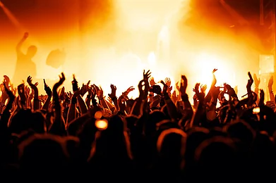 The New Wave Musicfest in Goa