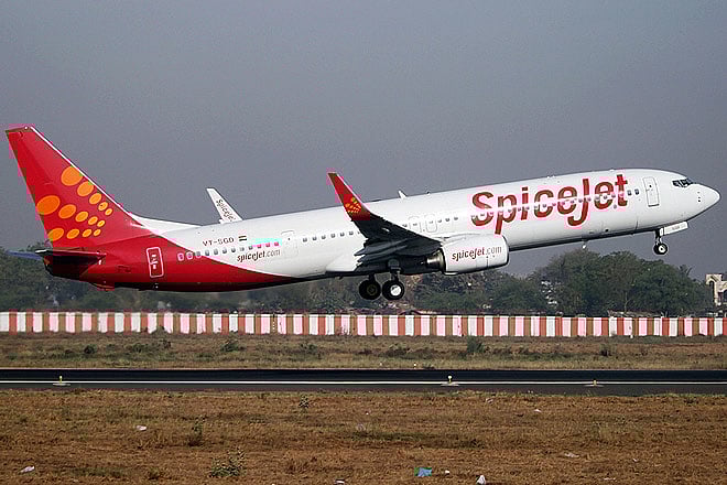 SpiceJet declares 14 new domestic flights 