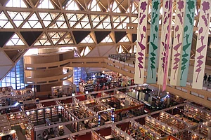 India International Trade Fair, New Delhi