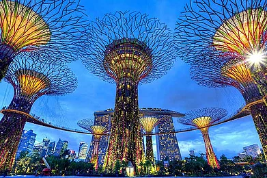 Tigerair of Singapore launches --pay to go, return for free-- promotion