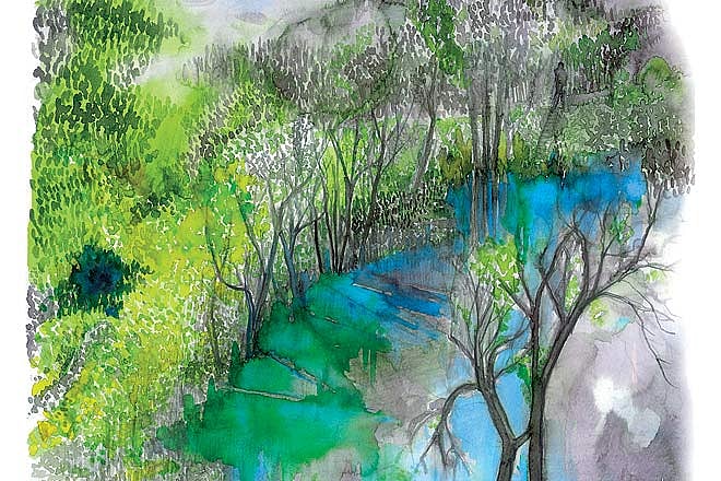 Still waters - Garudtal, Kumaon