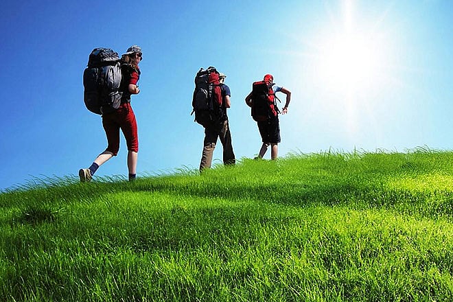 Walking and birding in Mumbai