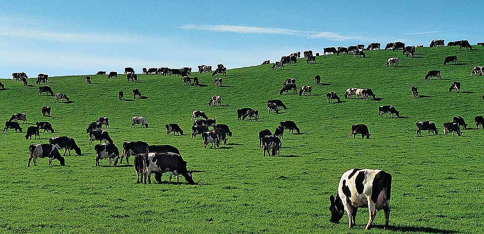 Passing through the Drumlin hills in Ireland