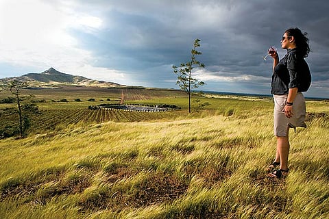 Fratelli Vineyards is not just about wine 