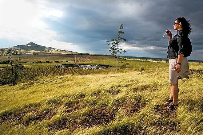 Fratelli Vineyards is not just about wine