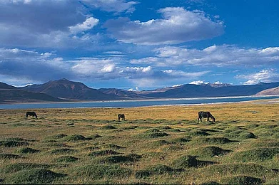 10 ways to enjoy Ladakh