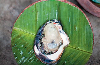 Kerala Pearl of the orient