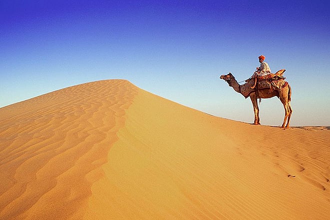 Camel Festival in Bikaner