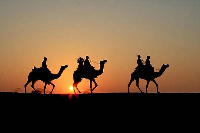 A camel safari through the Thar
