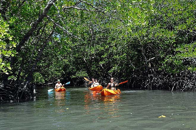 Go kayaking in the Andamans