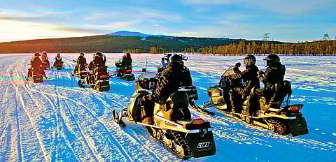 The Arctic Tundra in winter is a magical place