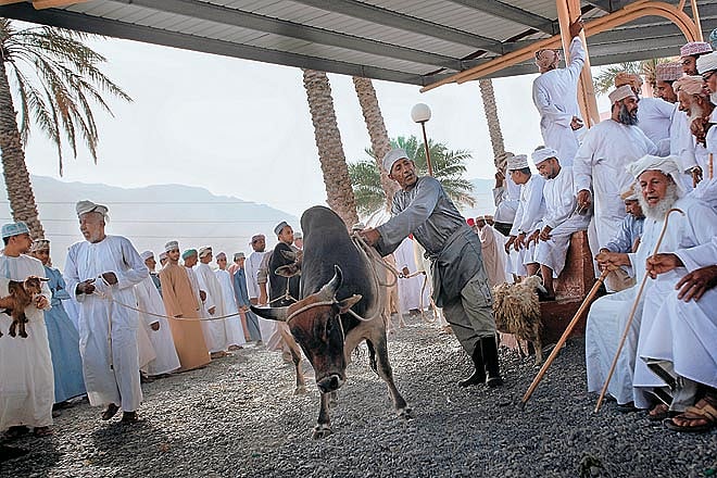 On a holiday in Oman