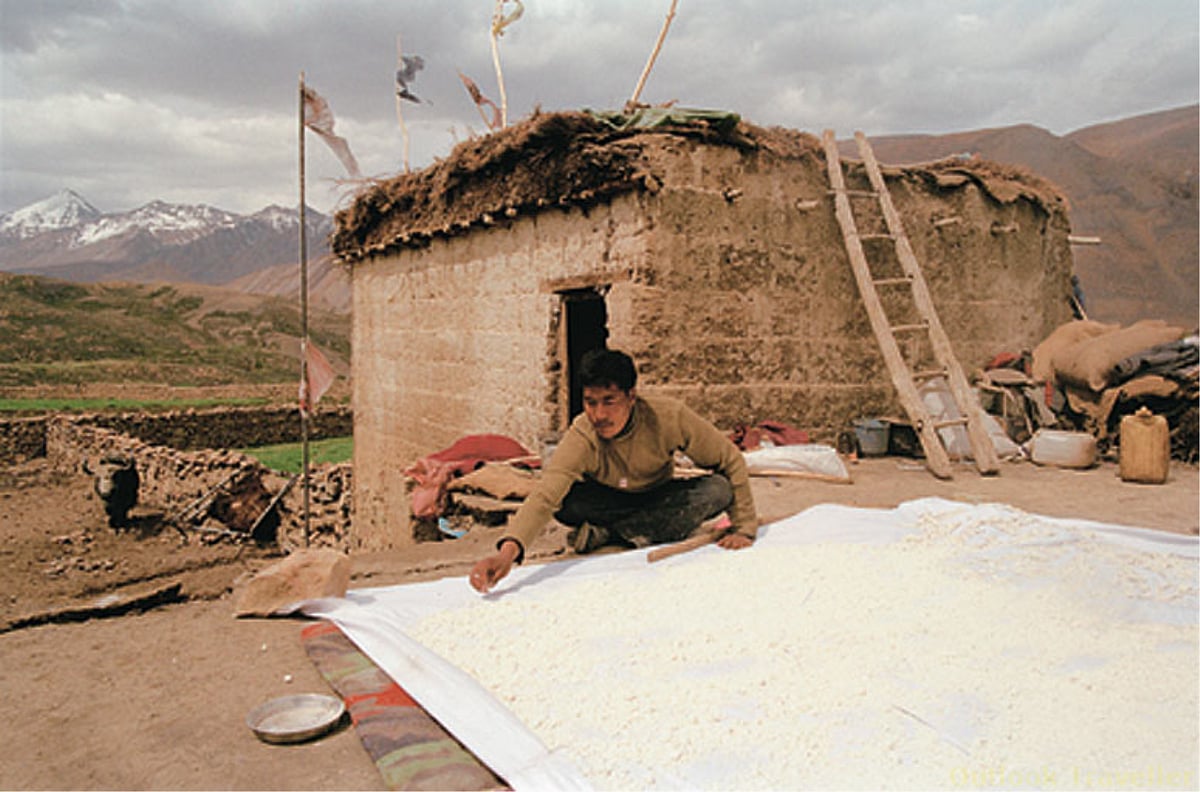 A man tends to his harvest at his home in a village in Spiti