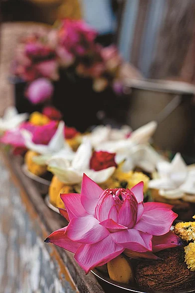 Lotus flower offerings at Chidambaram