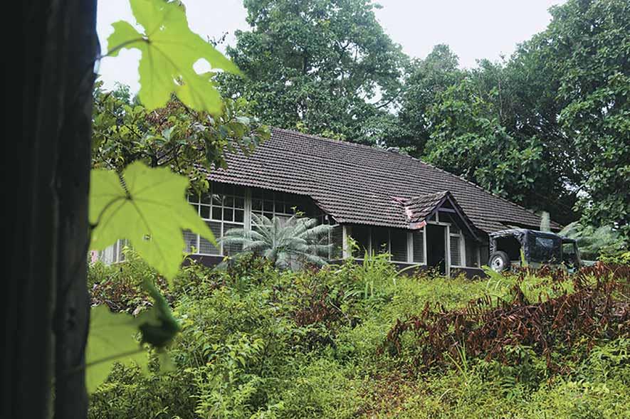 The forest resthouse at Makuta