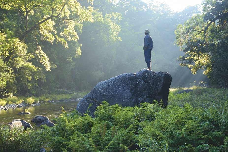 The Kunthipuzha riverside en route to Poochappara, a peak in the Silent Valley National Park area in Kerala