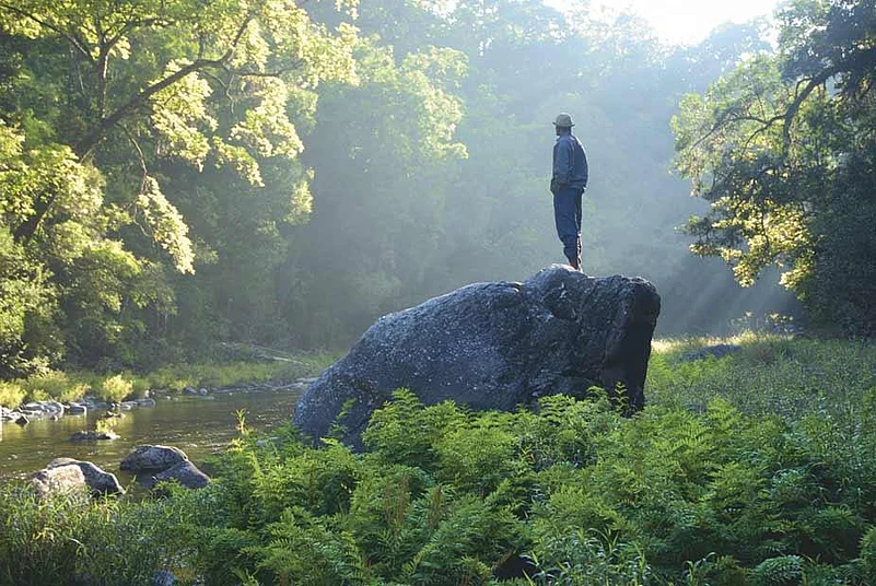 The Kunthipuzha riverside en route to Poochappara, a peak in the Silent Valley National Park area in Kerala