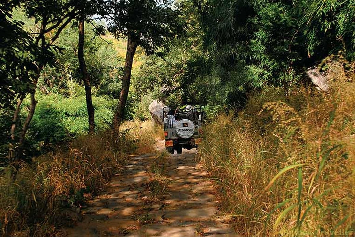 Hiking in the hills of southern Rajasthan