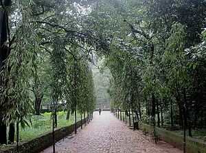 GoaInstaWalk - A walk to remember