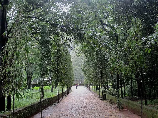 GoaInstaWalk - A walk to remember