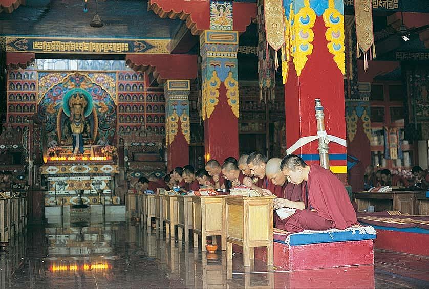 Monks having lunch at the Dolanji Bon monastery in Kotla Panjola, Solan district, Himachal Pradesh