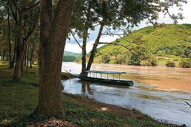 Unsplash : Chiang Rai