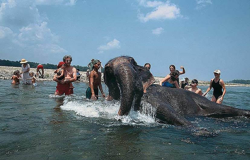 Bathing elephants is a nice way to keep the tourists out of mischief at Bardia