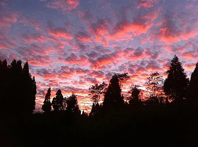 The timeless hill stations of West Bengal