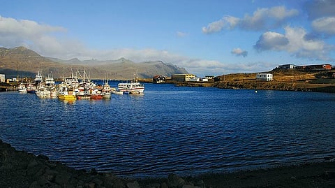 Skjalfandi Bay, situated in North Iceland, is renowned as one of the country's premier spots for whale watching. A boat tour from Husavik, the sole town on the shoreline, offers the opportunity to explore Skjalfandi Bay and its captivating marine life.