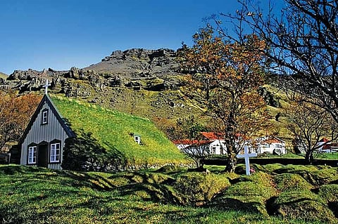 Icelandic homes rare often made of corrugated iron. Iceland was a poor country and embraced this material usually reserved for roofs. These houses needs to be painted regularly to stop them from rusting.