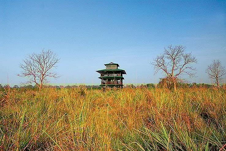 Great Indian journeys