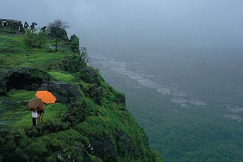 The Karnala Bird Sanctuary home to many species of migratory birds