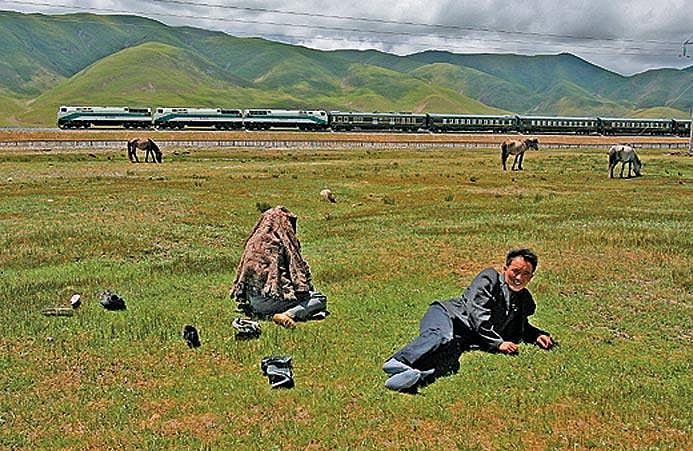 The train cuts through meadows