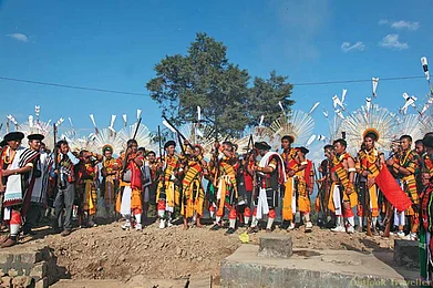 The Hornbill cries louder