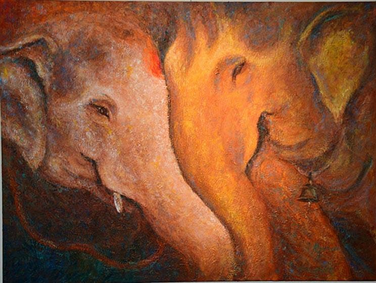 Fundraiser for elephant conservation