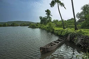 Discover Goas backwaters