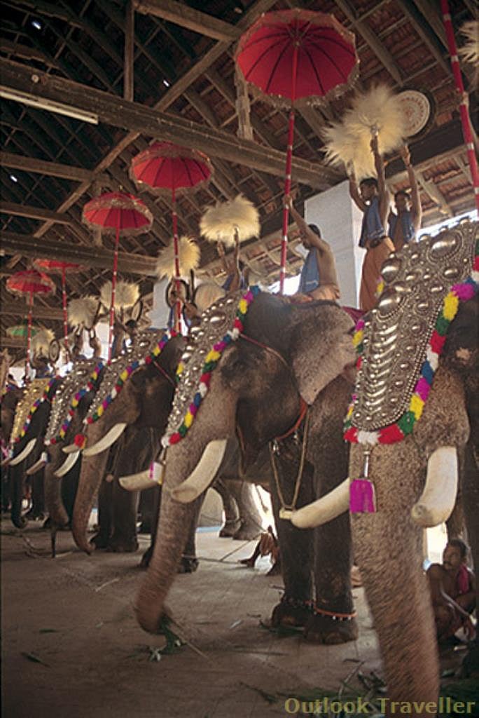 Mammoth Rituals in Keralas Koodalmanickam Temple