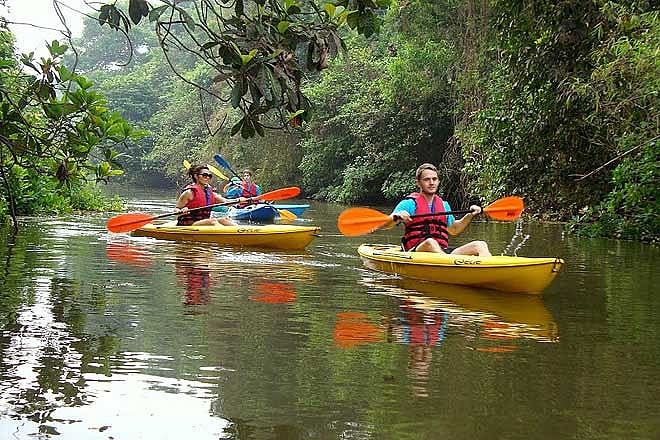 Moonlight kayaking in Goa