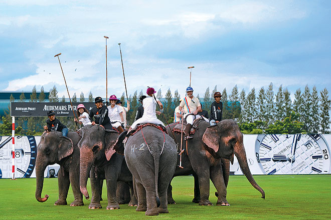 Playing elephant polo for a cause--Bangkok