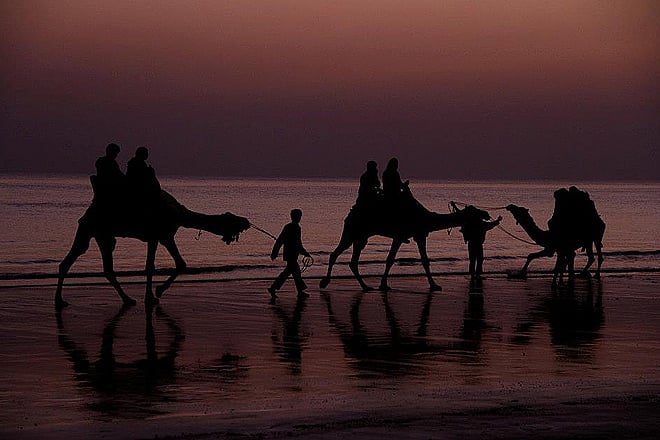 Rann Utsav 2015