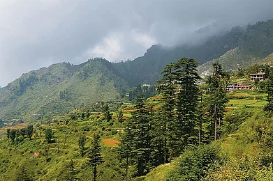 Quick Guide Chakrata, Uttarakhand
