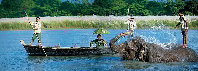 Nepal Wild time at Chitwan National Park