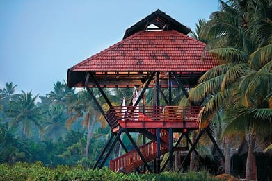 On a special vacation