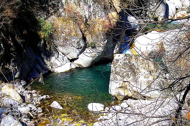 Quick Guide Tirthan Valley, Himachal Pradesh